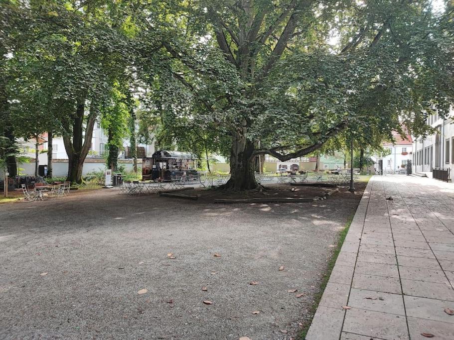 -Stadthaus Ida- Mit Grosser Dachterasse, Am Schlosspark, Luftkurort Kisslegg, Boxspringbetten, Kaffeevollautomat, Smarttv, Familienfreundlich, Grosszuegig, Zentral Экстерьер фото